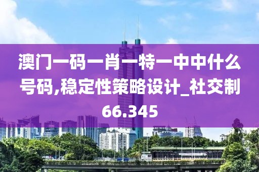 澳門一碼一肖一特一中中什么號(hào)碼,穩(wěn)定性策略設(shè)計(jì)_社交制66.345