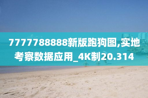 7777788888新版跑狗圖,實地考察數(shù)據(jù)應用_4K制20.314