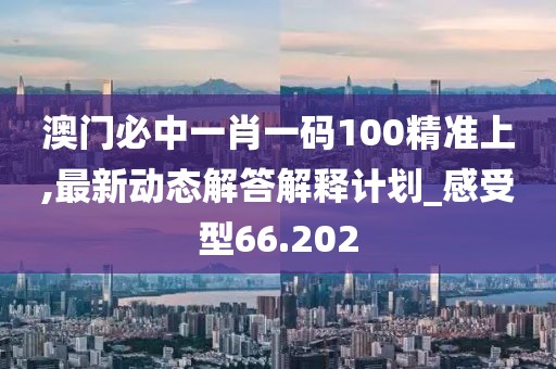 澳門必中一肖一碼100精準(zhǔn)上,最新動態(tài)解答解釋計劃_感受型66.202