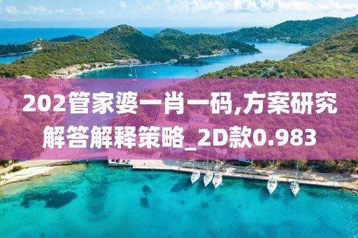 202管家婆一肖一碼,方案研究解答解釋策略_2D款0.983