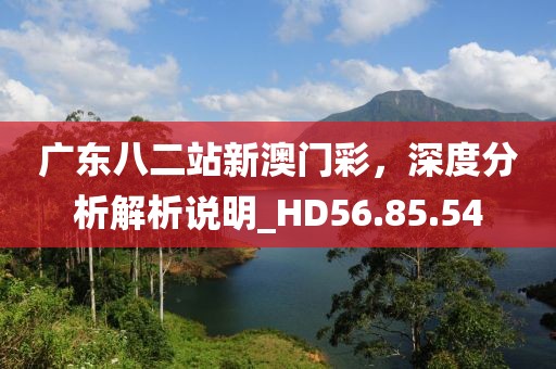 廣東八二站新澳門彩，深度分析解析說明_HD56.85.54