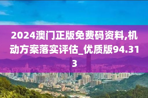 2024澳門正版免費(fèi)碼資料,機(jī)動(dòng)方案落實(shí)評(píng)估_優(yōu)質(zhì)版94.313