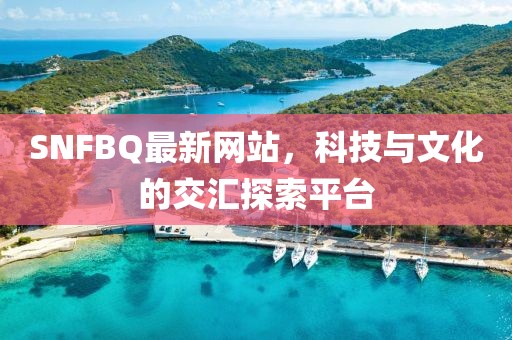 SNFBQ最新網(wǎng)站，科技與文化的交匯探索平臺(tái)