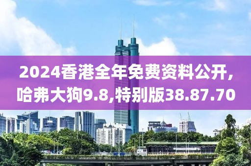 2024香港全年免費資料公開,哈弗大狗9.8,特別版38.87.70