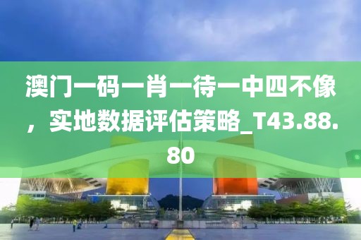 澳門一碼一肖一待一中四不像，實地數(shù)據(jù)評估策略_T43.88.80