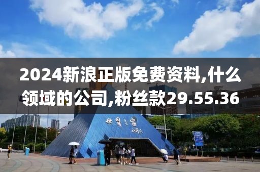 2024新浪正版免費資料,什么領域的公司,粉絲款29.55.36