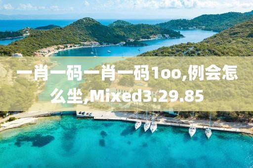 一肖一碼一肖一碼1oo,例會怎么坐,Mixed3.29.85