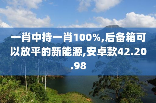 一肖中持一肖100%,后備箱可以放平的新能源,安卓款42.20.98