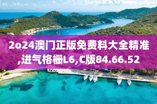 2o24澳門正版免費(fèi)料大全精準(zhǔn),進(jìn)氣格柵L6,C版84.66.52