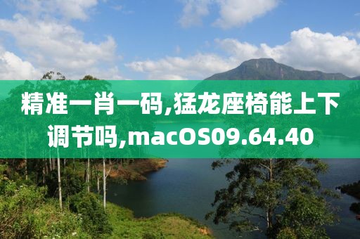 精準一肖一碼,猛龍座椅能上下調(diào)節(jié)嗎,macOS09.64.40