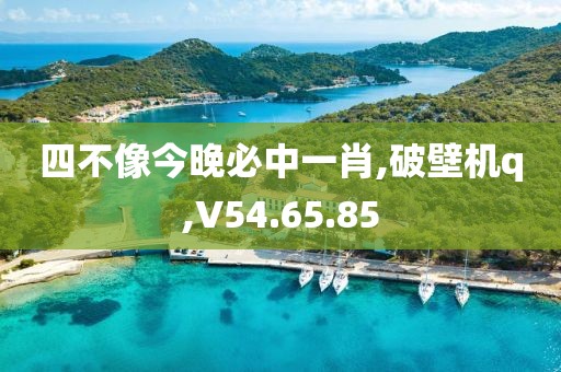 四不像今晚必中一肖,破壁機q,V54.65.85