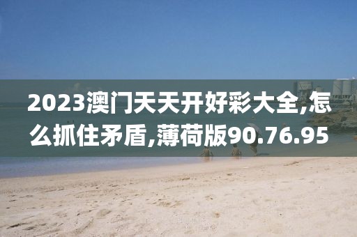 2023澳門天天開好彩大全,怎么抓住矛盾,薄荷版90.76.95