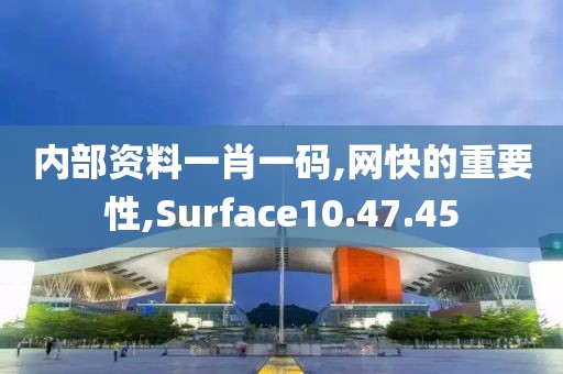 內部資料一肖一碼,網快的重要性,Surface10.47.45