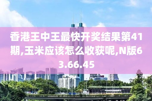 2024年11月14日 第85頁