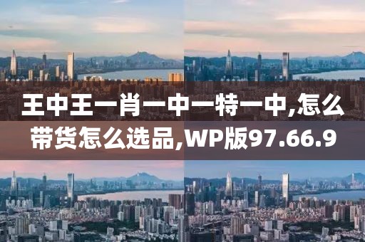 王中王一肖一中一特一中,怎么帶貨怎么選品,WP版97.66.9