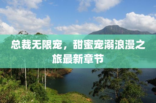 總裁無限寵，甜蜜寵溺浪漫之旅最新章節(jié)