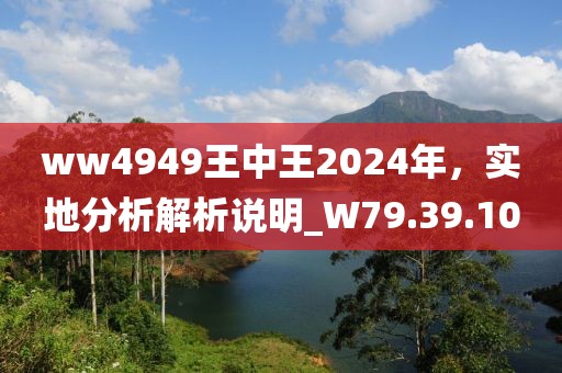 ww4949王中王2024年，實地分析解析說明_W79.39.100