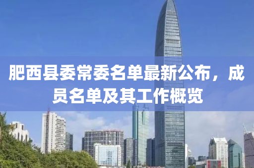 肥西縣委常委名單最新公布，成員名單及其工作概覽