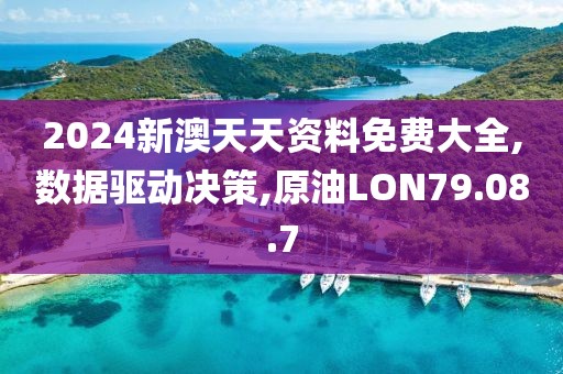 2024新澳天天資料免費大全,數(shù)據(jù)驅動決策,原油LON79.08.7