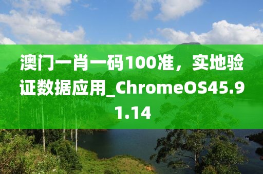 澳門一肖一碼100準，實地驗證數(shù)據(jù)應用_ChromeOS45.91.14