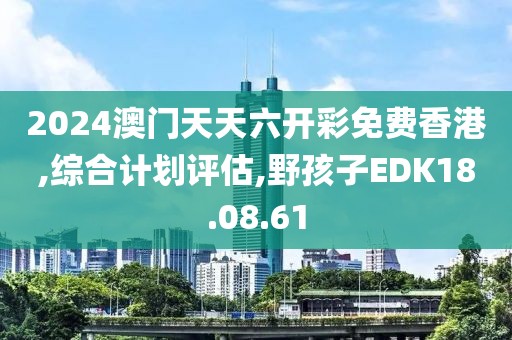 2024澳門天天六開彩免費香港,綜合計劃評估,野孩子EDK18.08.61