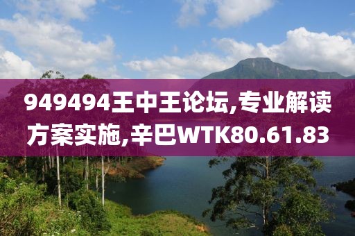 949494王中王論壇,專業(yè)解讀方案實施,辛巴WTK80.61.83