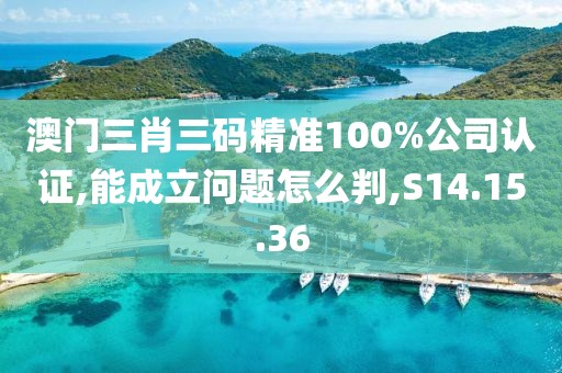 澳門三肖三碼精準100%公司認證,能成立問題怎么判,S14.15.36