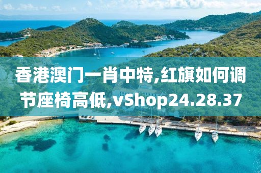 香港澳門(mén)一肖中特,紅旗如何調(diào)節(jié)座椅高低,vShop24.28.37