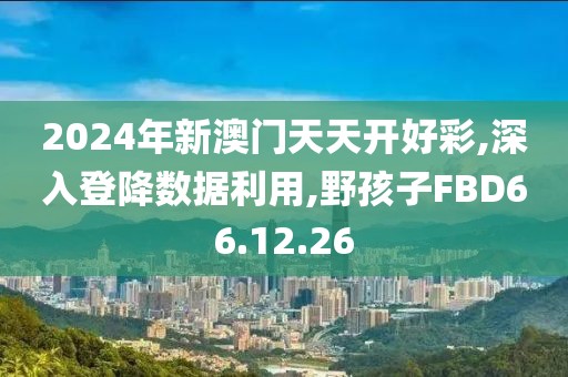 2024年新澳門天天開好彩,深入登降數(shù)據(jù)利用,野孩子FBD66.12.26