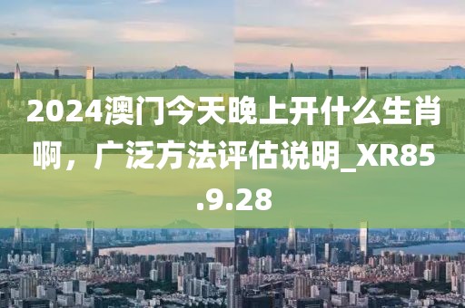 2024澳門今天晚上開(kāi)什么生肖啊，廣泛方法評(píng)估說(shuō)明_XR85.9.28