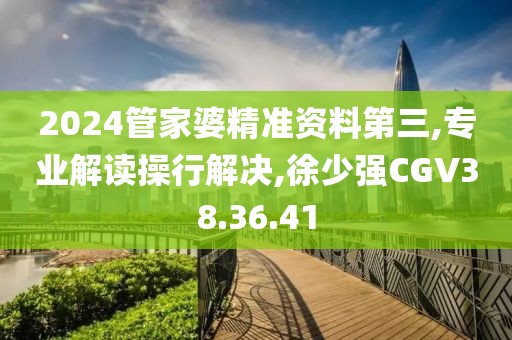 2024管家婆精準資料第三,專業(yè)解讀操行解決,徐少強CGV38.36.41