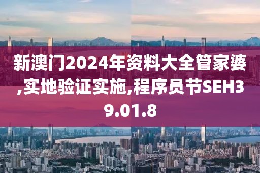 新澳門2024年資料大全管家婆,實地驗證實施,程序員節(jié)SEH39.01.8