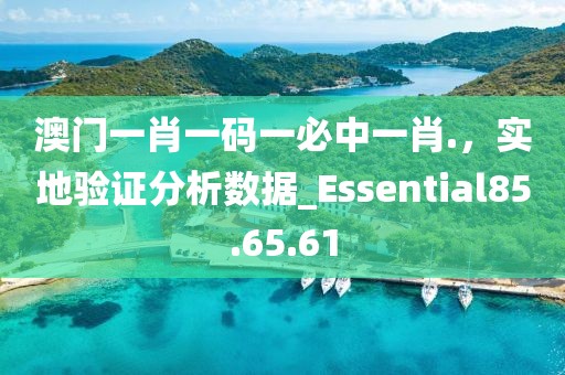 澳門一肖一碼一必中一肖.，實(shí)地驗(yàn)證分析數(shù)據(jù)_Essential85.65.61