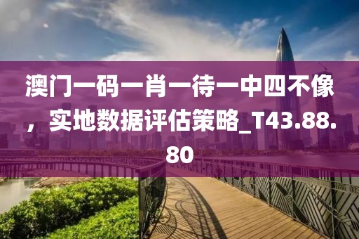 澳門一碼一肖一待一中四不像，實地數(shù)據(jù)評估策略_T43.88.80