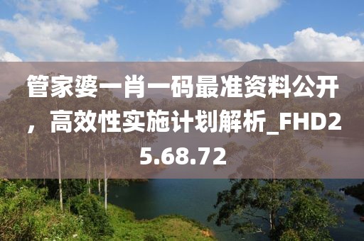 管家婆一肖一碼最準資料公開，高效性實施計劃解析_FHD25.68.72