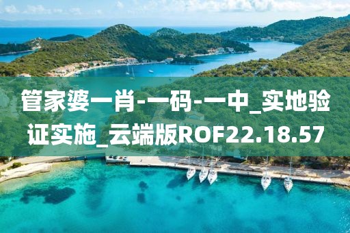 管家婆一肖-一碼-一中_實地驗證實施_云端版ROF22.18.57