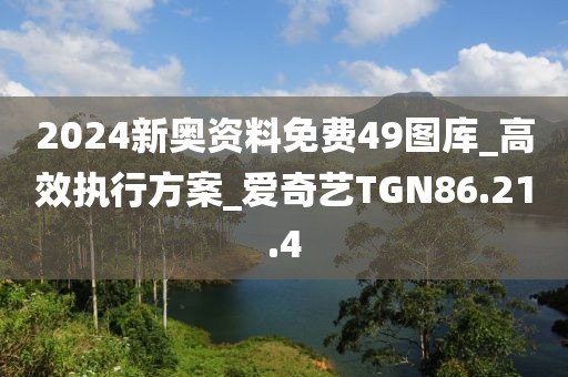 2024新奧資料免費49圖庫_高效執(zhí)行方案_愛奇藝TGN86.21.4