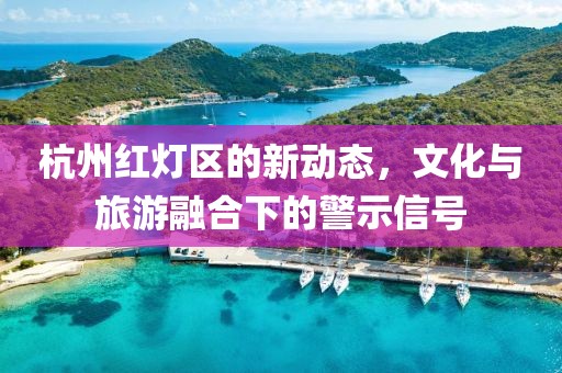 杭州紅燈區(qū)的新動態(tài)，文化與旅游融合下的警示信號