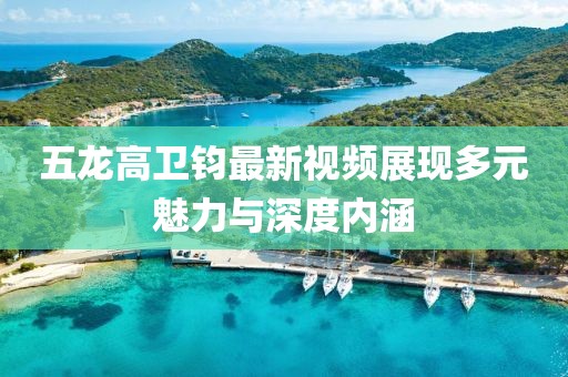 五龍高衛(wèi)鈞最新視頻展現(xiàn)多元魅力與深度內(nèi)涵