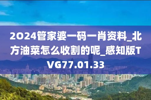 2O24管家婆一碼一肖資料_北方油菜怎么收割的呢_感知版TVG77.01.33