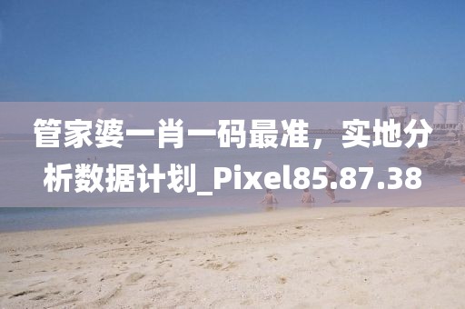 管家婆一肖一碼最準(zhǔn)，實(shí)地分析數(shù)據(jù)計(jì)劃_Pixel85.87.38