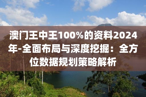 澳門王中王100%的資料2024年-全面布局與深度挖掘：全方位數(shù)據(jù)規(guī)劃策略解析