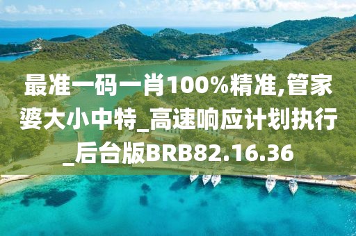 最準(zhǔn)一碼一肖100%精準(zhǔn),管家婆大小中特_高速響應(yīng)計劃執(zhí)行_后臺版BRB82.16.36