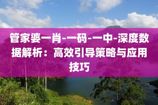 管家婆一肖-一碼-一中-深度數(shù)據(jù)解析：高效引導策略與應用技巧