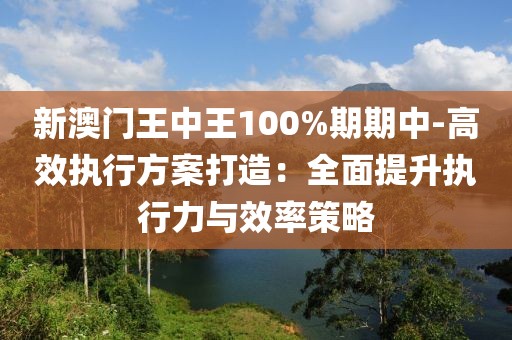 新澳門王中王100%期期中-高效執(zhí)行方案打造：全面提升執(zhí)行力與效率策略