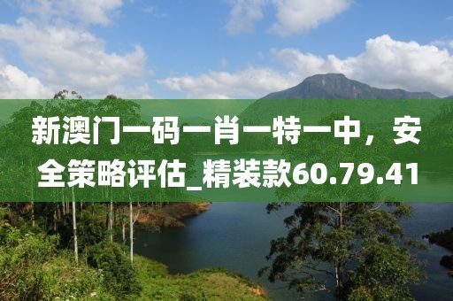 新澳門一碼一肖一特一中，安全策略評估_精裝款60.79.41