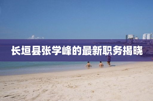 長垣縣張學峰的最新職務揭曉