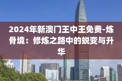 2024年新澳門王中王免費(fèi)-煉骨境：修煉之路中的蛻變與升華