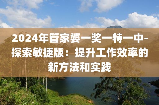 2024年管家婆一獎一特一中-探索敏捷版：提升工作效率的新方法和實(shí)踐