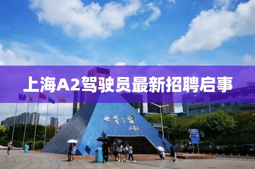 上海A2駕駛員最新招聘啟事